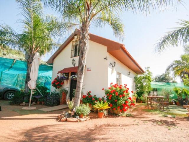 Chalet en venta en Monda photo 0