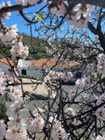 Casas de pueblo en venta en Guía de Isora, Guía de Isora photo 0