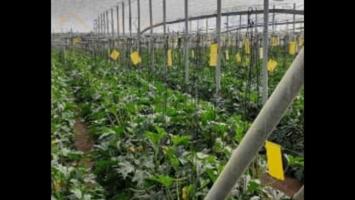 Terreno en venta en Balerma, Balerma photo 0