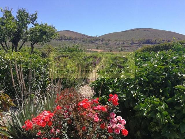 Casa con terreno en venta en Granadilla de Abona, Charco del Pino photo 0