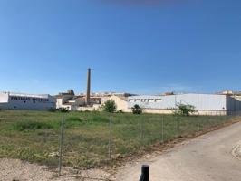 Terreno en venta en Carcaixent, Carcaixent photo 0