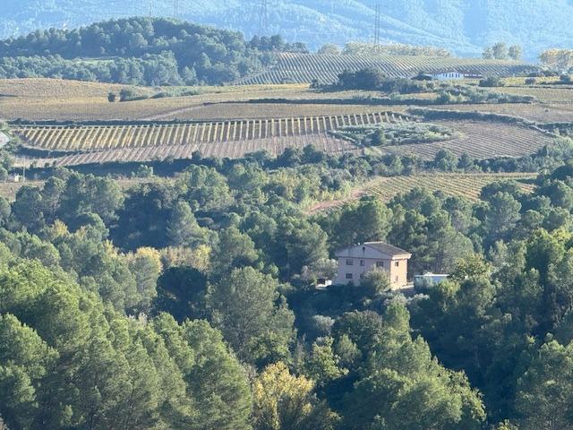 Casa en venta en Sant Llorenç d'Hortons, SANT LLORENÇ D HORTONS photo 0