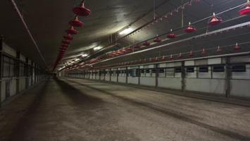 Nave industrial en venta en Xinzo de Limia, Galicia photo 0