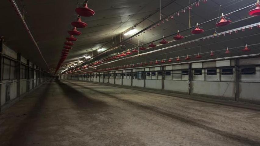 Nave industrial en venta en Xinzo de Limia, Galicia photo 0