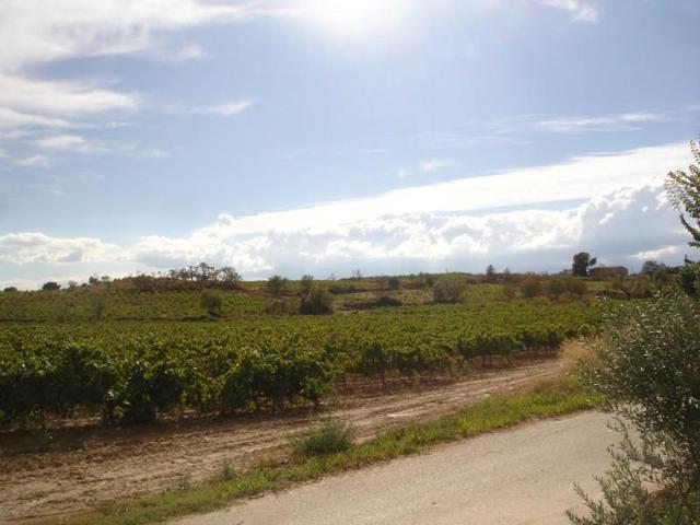 Chalet en venta en Vilafranca del Penedès, Barceloneta - Molí dEn Rovira photo 0