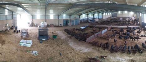 Casa con terreno en venta en Brozas, BROZAS photo 0