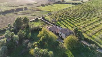 Casa en venta en Petra, Petra photo 0