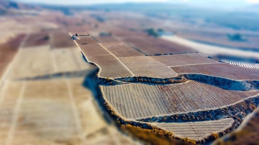 Terreno en venta en Cieza, Majariego photo 0