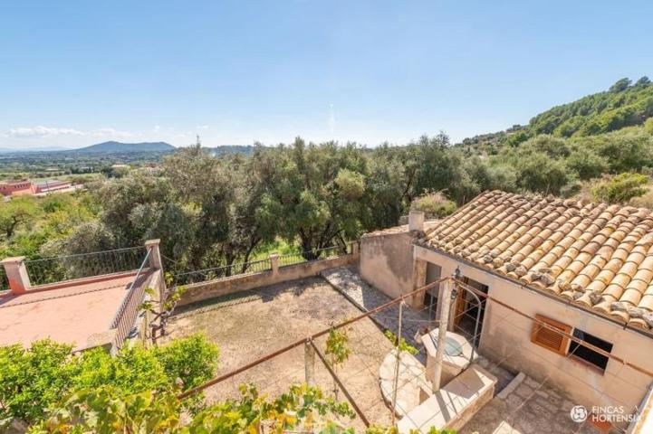 Chalet en venta en Selva, Selva photo 0