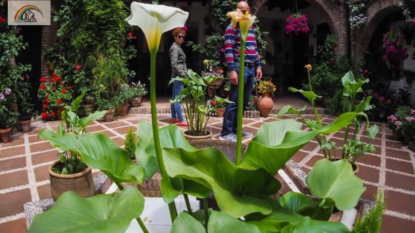 Casa en venta en Córdoba, San Pablo - La Magdalena photo 0