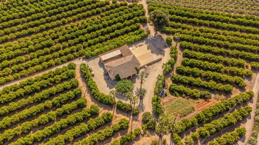 Casa con terreno en venta en Sant Joanet, L Ènova photo 0