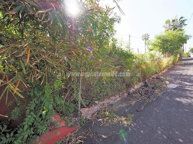 Terreno en venta en Santa Úrsula, Tenerife North photo 0