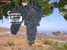 Casa con terreno en venta en San Miguel de Abona, Aldea Blanca photo 0