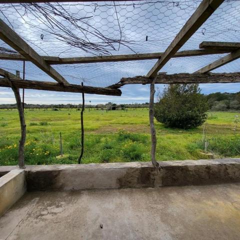 Terreno en venta en Llucmajor, Badia Blava-Badia Gran-Tolleric photo 0