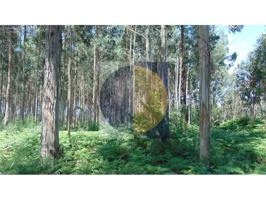 Terreno en venta en Bergondo photo 0