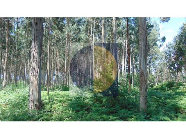 Terreno en venta en Bergondo photo 0