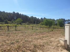 Chalet en venta en Avinyonet del Penedès, Arboçar de dalt photo 0