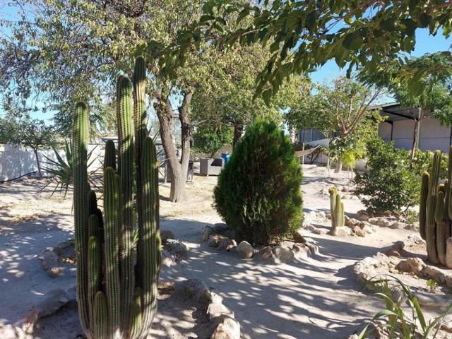 Local comercial en venta en Baza, CENTRO photo 0