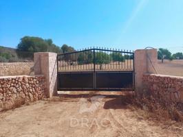 Terreno en venta en Santanyí photo 0