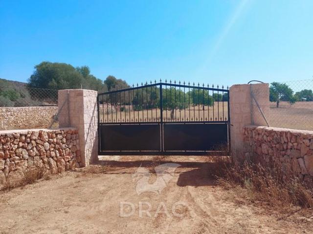 Terreno en venta en Santanyí photo 0