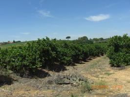 Chalet en venta en Carmona, Campiña photo 0