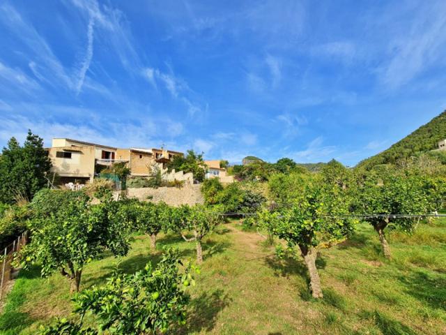 Casa con terreno en venta en Alaró, ALARÓ photo 0