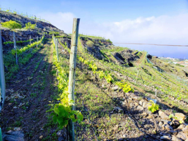 Terreno en venta en Taucho, Taucho photo 0