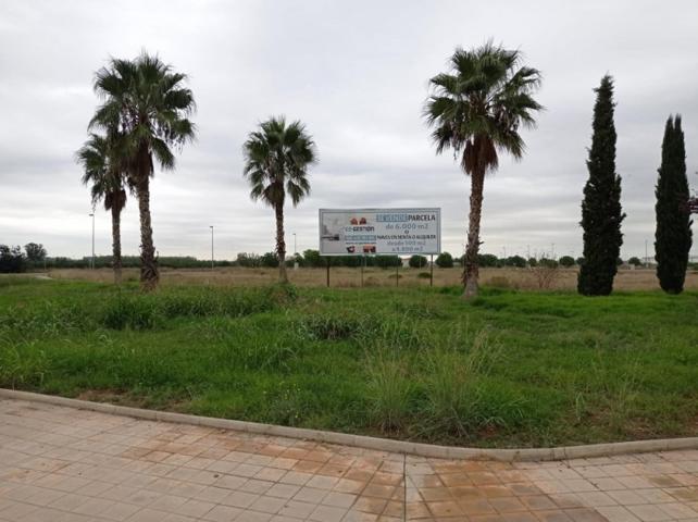 Terreno en venta en Alzira, El pla photo 0