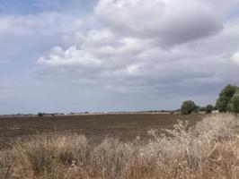 Terreno en venta en Vejer de la Frontera, El palmar photo 0
