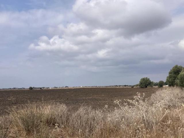 Terreno en venta en Vejer de la Frontera, El palmar photo 0