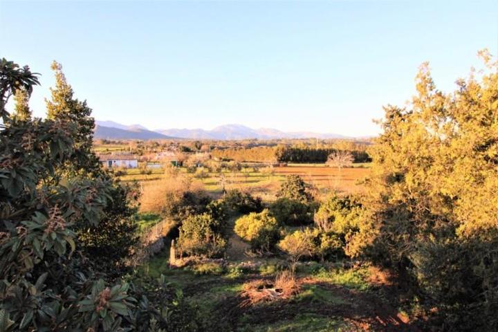 Chalet en venta en Llubí, AFUERAS DE LLUBI photo 0