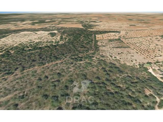 Terreno en venta en Manacor photo 0