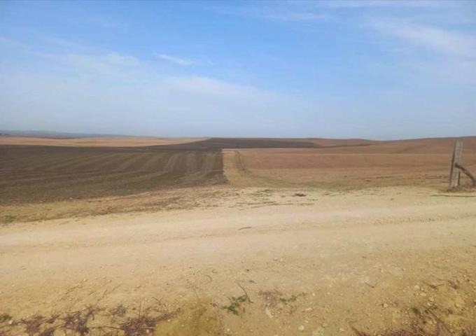 Terreno en venta en Tarifa, Tahivilla photo 0