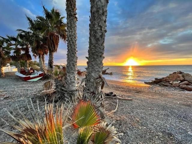 Local comercial en venta en Adra, La curva photo 0