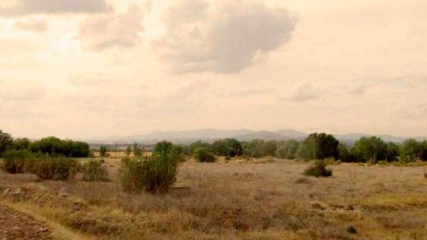 Terreno en venta en Algete, Calle Timanfaya, 28110 photo 0