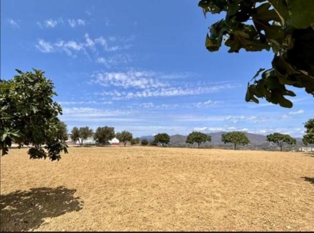 Terreno en venta en Mijas, Cerros del Águila photo 0