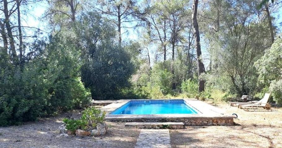 Casa con terreno en venta en Sencelles, Mallorca photo 0