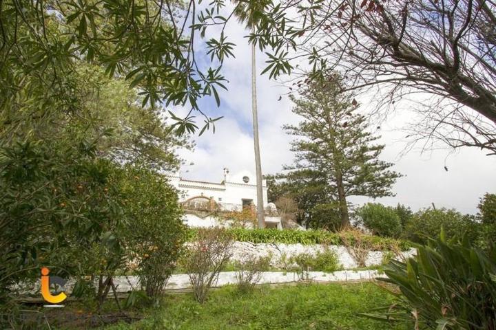 Chalet en venta en Algeciras, El Pelayo photo 0