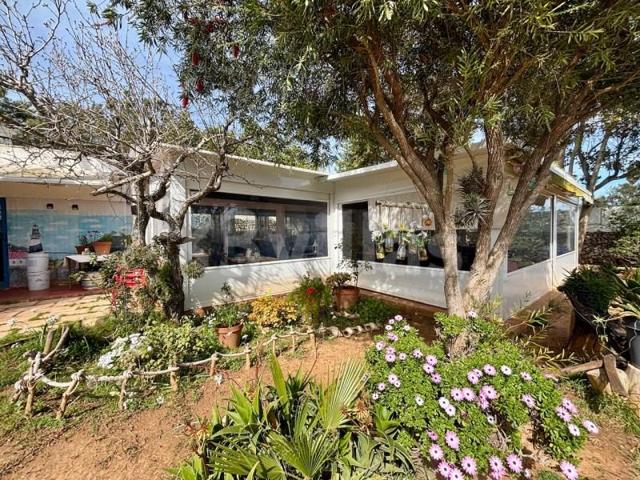 Local comercial en venta en Mahón-Maó photo 0