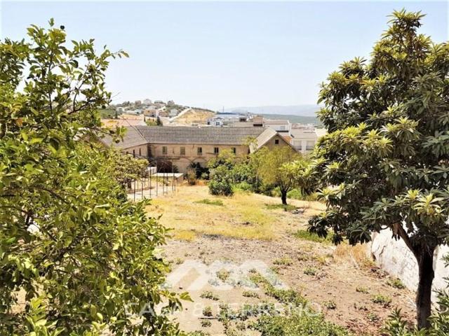 Local comercial en venta en Rute photo 0