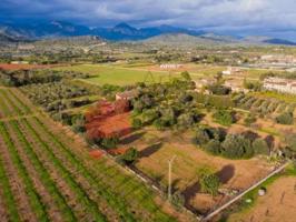 Chalet en venta en Consell photo 0