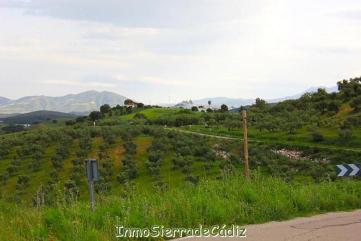 Chalet en venta en Olvera, Olvera photo 0