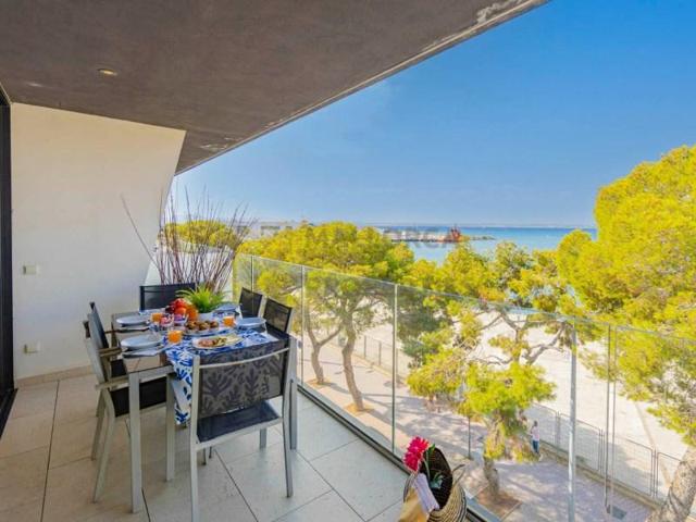 Aticos en venta en Alcúdia, 1ª Linea photo 0