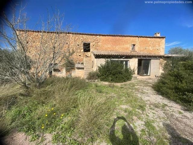 Terreno en venta en Algaida, PINA photo 0