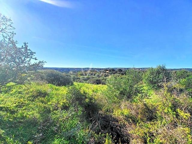 Terreno en venta en Sotogrande, Calle Lavanda en La Reserva de Sotogran…, 11310 photo 0