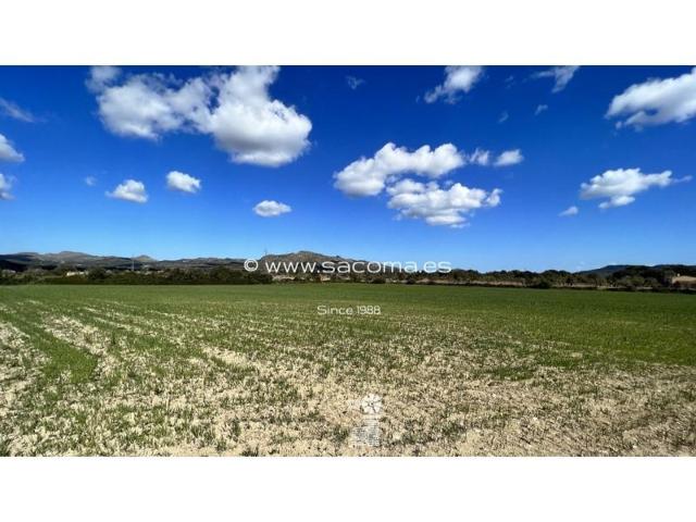 Terreno en venta en Artà photo 0