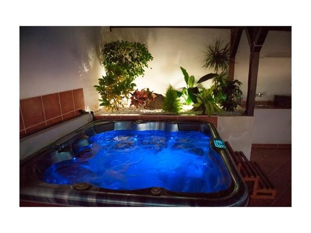 Chalet en venta en Mogán photo 0