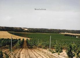 Terreno en venta en Montalvos, Castilla la mancha photo 0