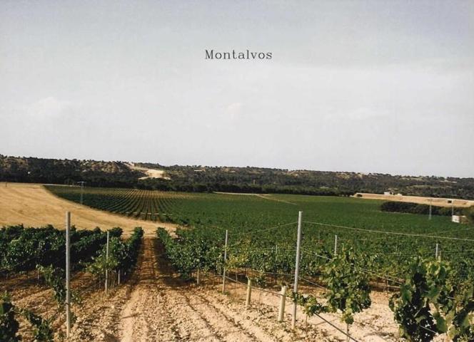 Terreno en venta en Montalvos, Castilla la mancha photo 0