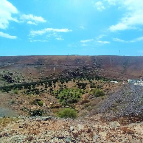 Casa con terreno en venta en San Bartolomé de Tirajana photo 0